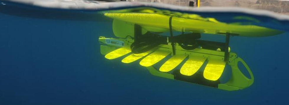 ´VEHÍCULOS EN ACCIÓN