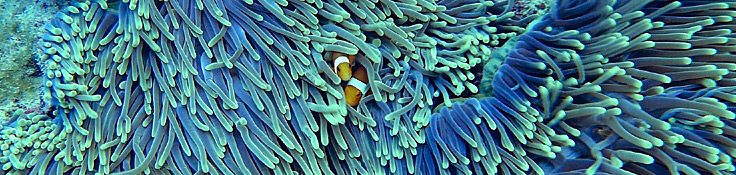 A lo largo de los años, EMS ha diseñado y desarrollado diverso hardware personalizado que no se encontraba en el mercado y que se necesitaba para resolver problemas específicos.